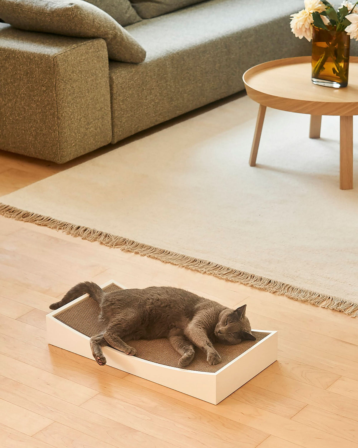 GRATTA CAT SCRATCHING BOARD | משטח גירוד לחתולים