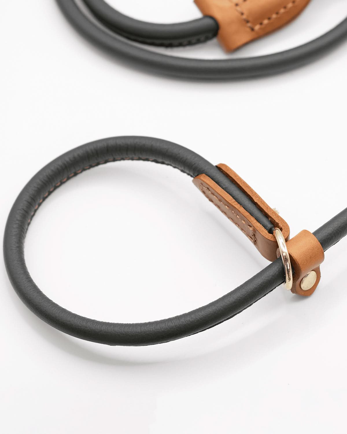 DOG SLIP LEASH | רצועת אילוף משולבת קולר לכלב