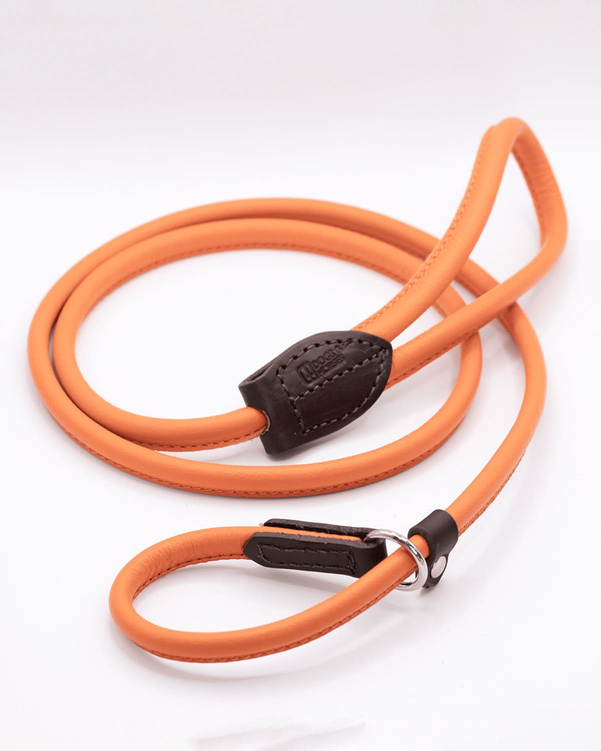 DOG SLIP LEASH | רצועת אילוף משולבת קולר לכלב