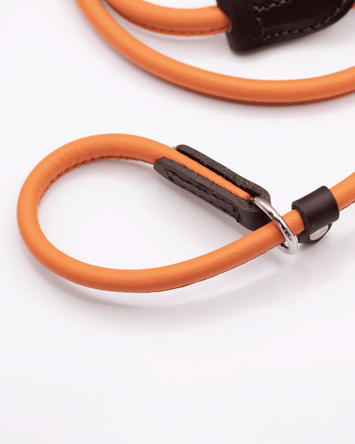 DOG SLIP LEASH | רצועת אילוף משולבת קולר לכלב