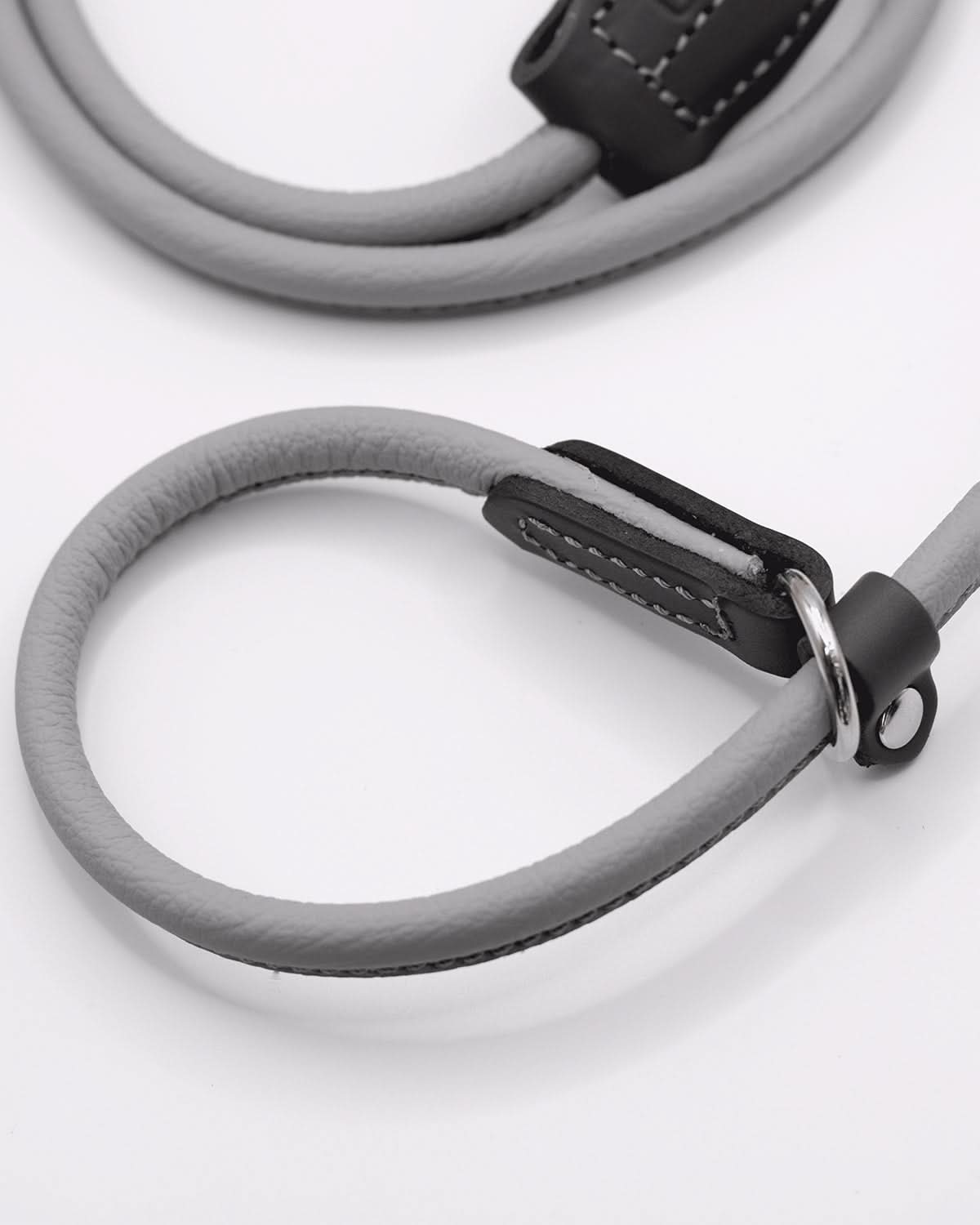 DOG SLIP LEASH | רצועת אילוף משולבת קולר לכלב