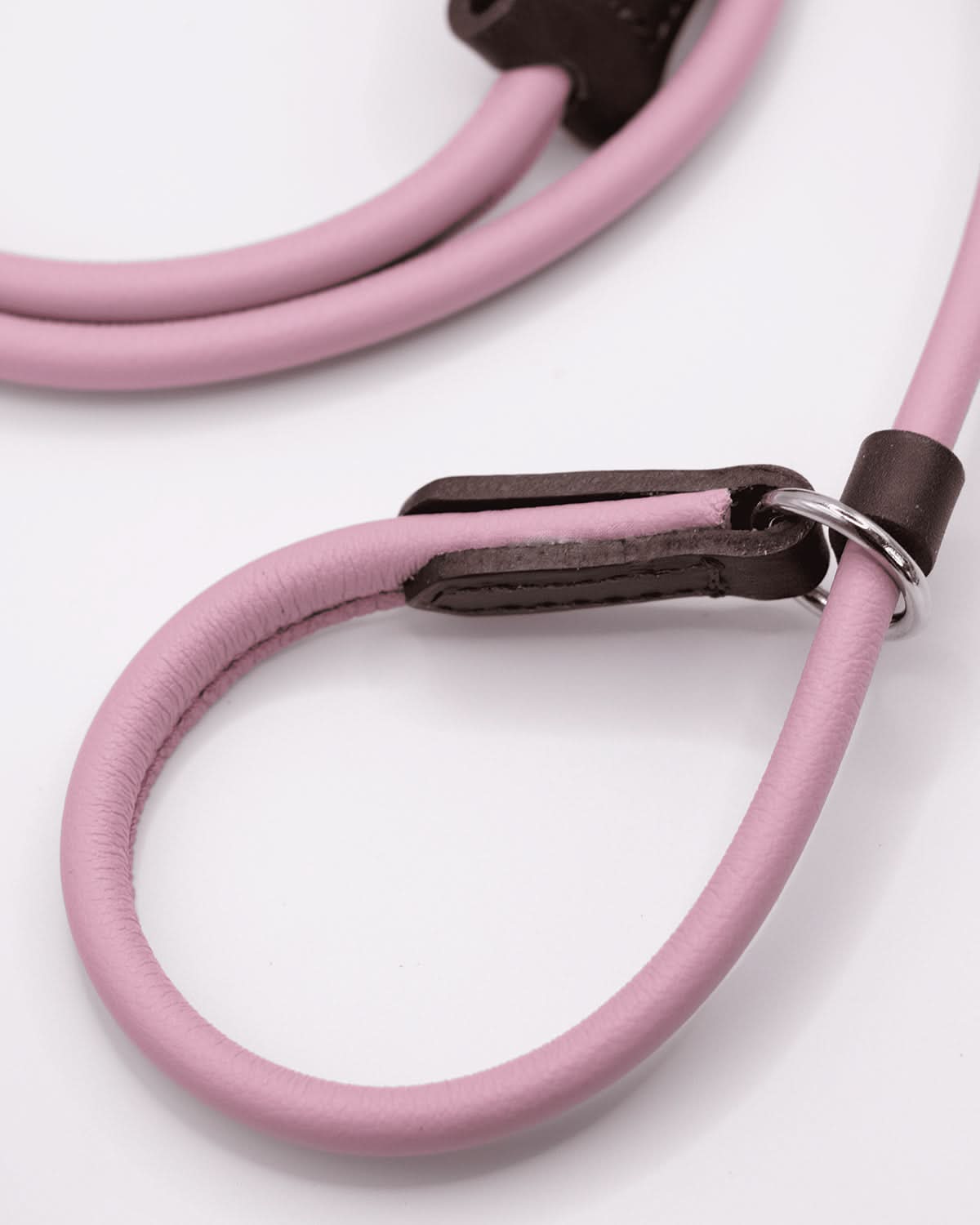 DOG SLIP LEASH | רצועת אילוף משולבת קולר לכלב