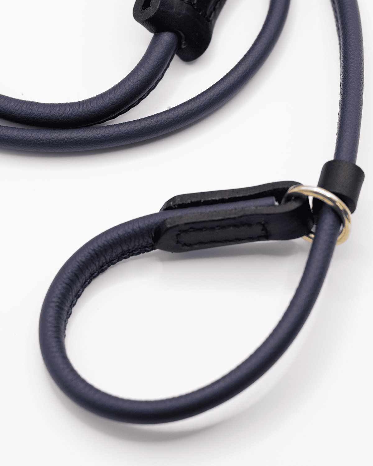 DOG SLIP LEASH | רצועת אילוף משולבת קולר לכלב