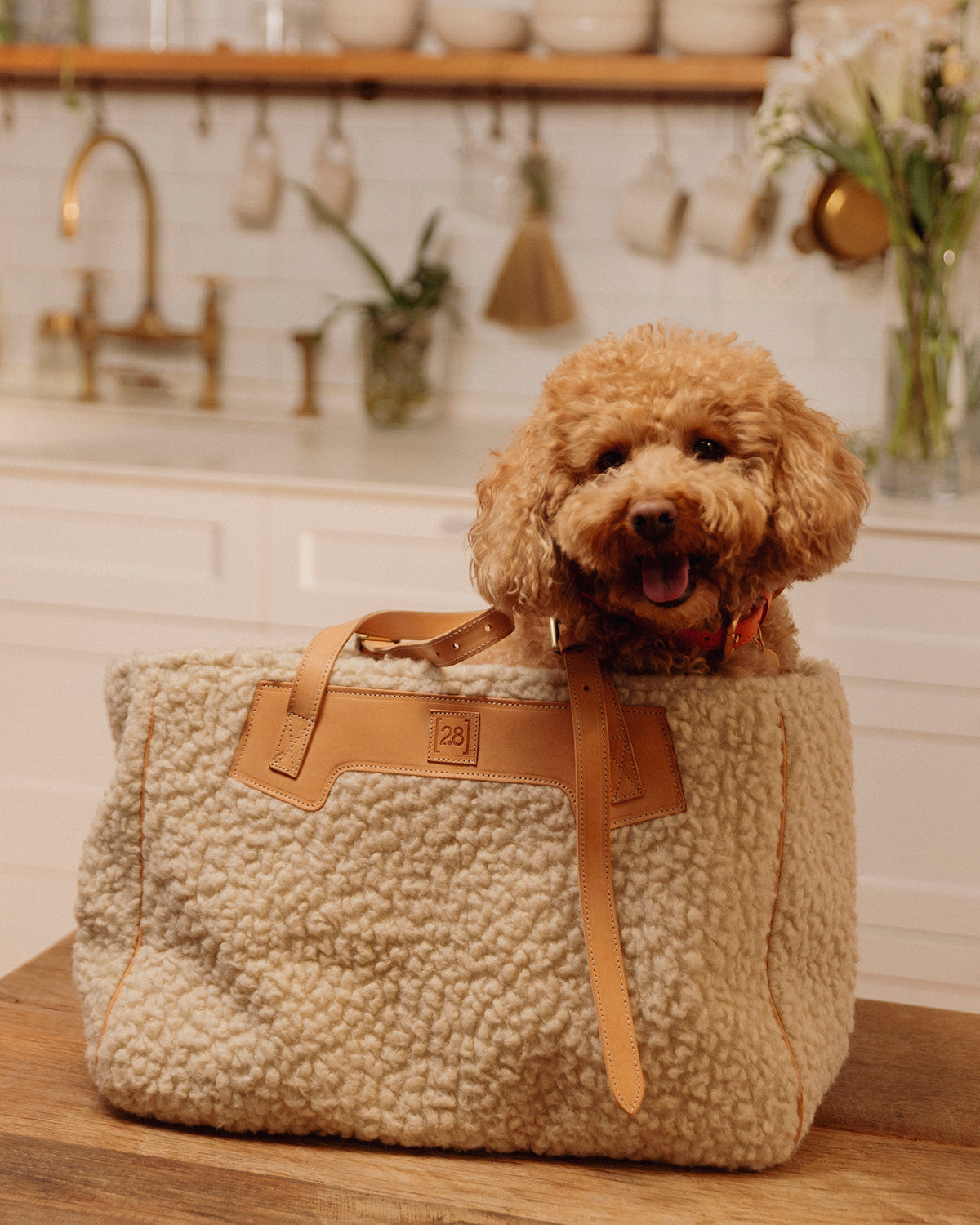MARGARET BOUCLÉ BAG | תיק נשיאה לכלב או תיק לבעלים