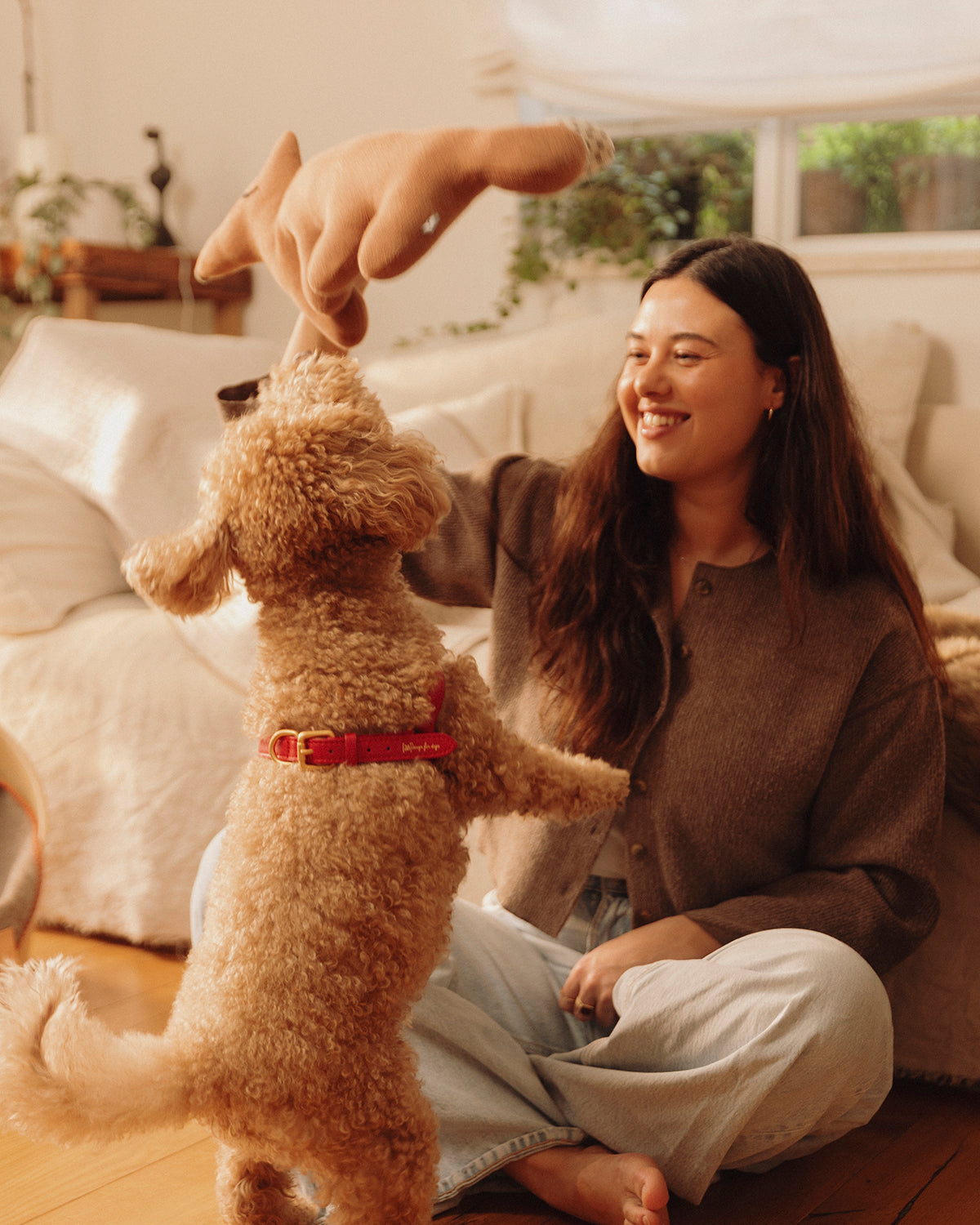 רתמת עור MARIO | רתמת עור לכלב