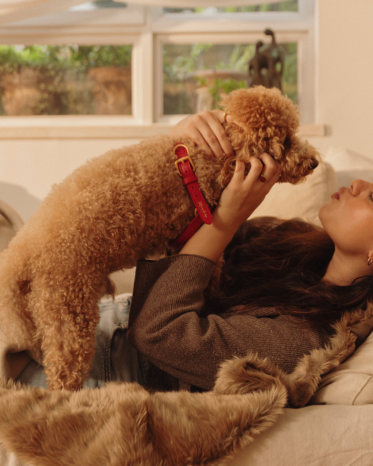 רתמת עור MARIO | רתמת עור לכלב