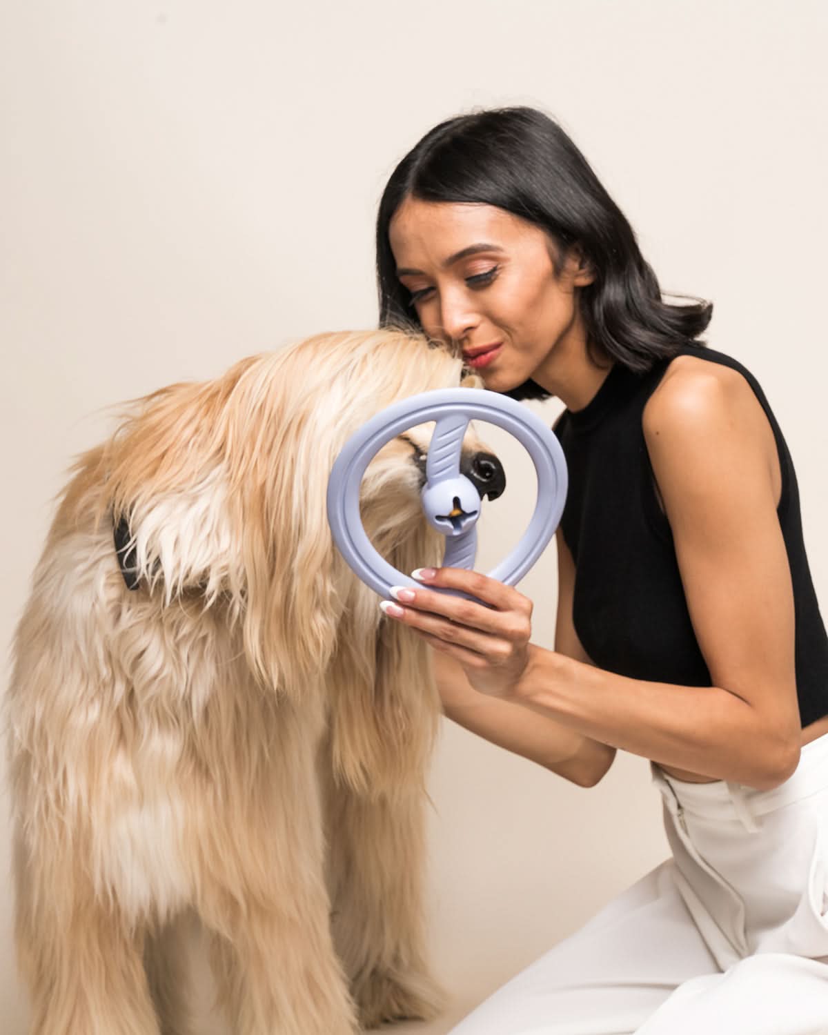 FRISBEE DOG TOY | משחק פריזבי לכלב