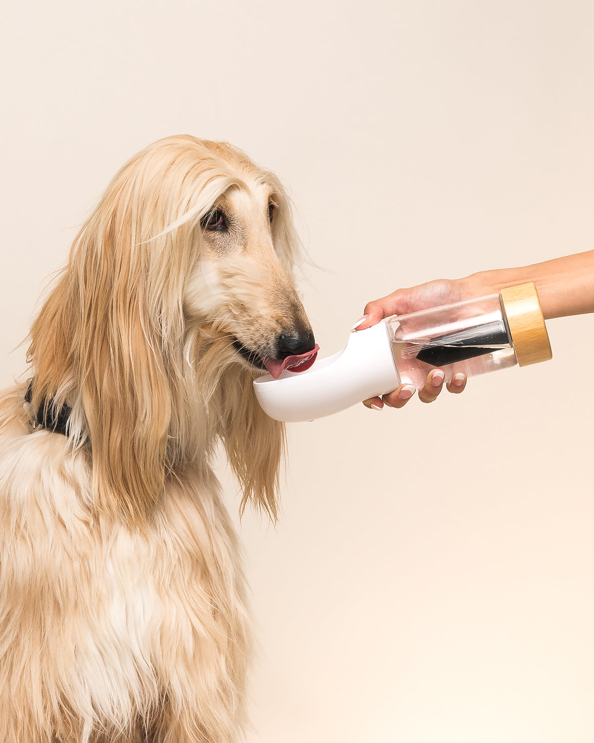 בקבוק מים קריסטל אנרגיה | בקבוק מים עם אבן קריסטל אנרגטית