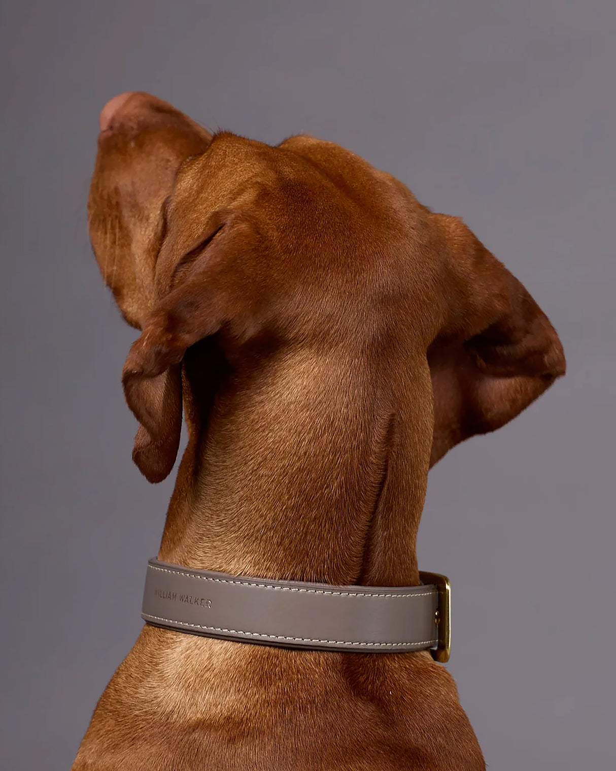 Luxe Smooth Leather Dog Collar | קולר עור נאפה לכלב