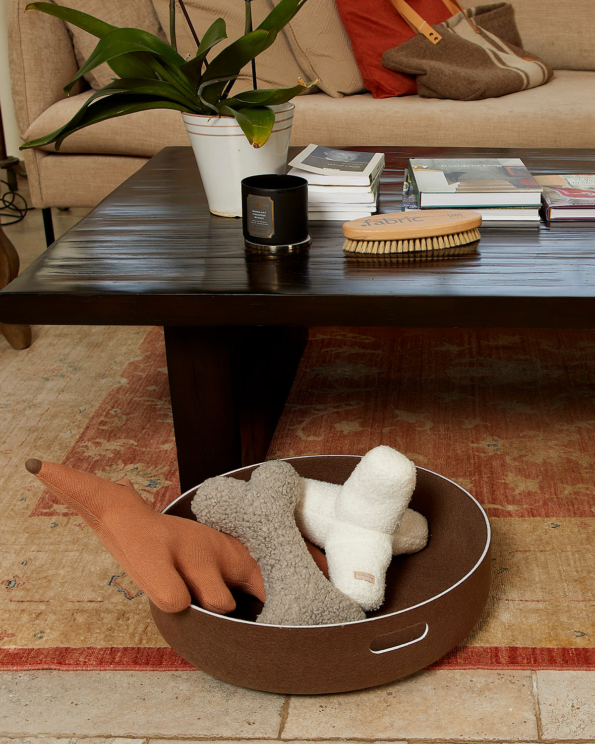 BREUER DOG TOY | צעצוע לכלב