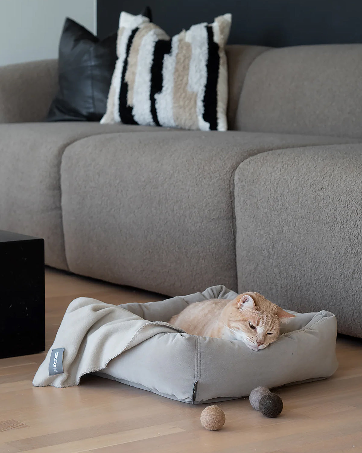 שמיכת חתול UNICA | שמיכת פליז לחתולים