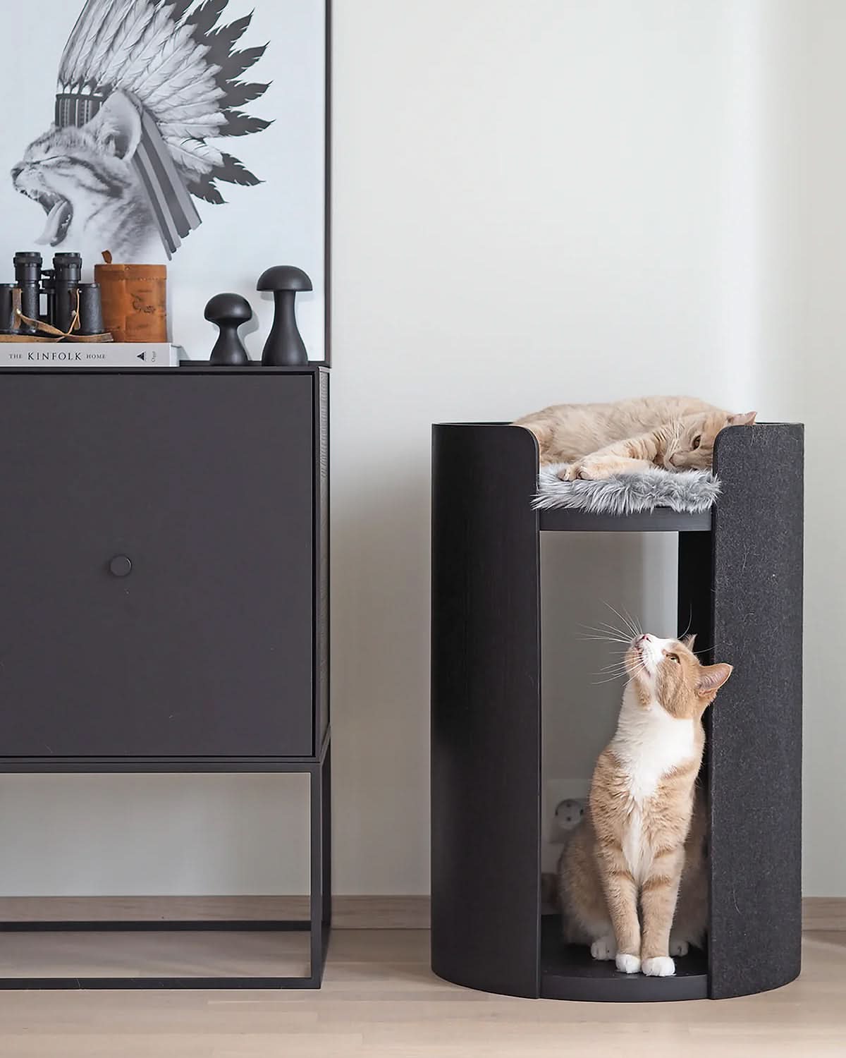 TORRE CLIMBING & SCRATCHING CAT POST | מגדל טיפוס וגירוד לחתולים