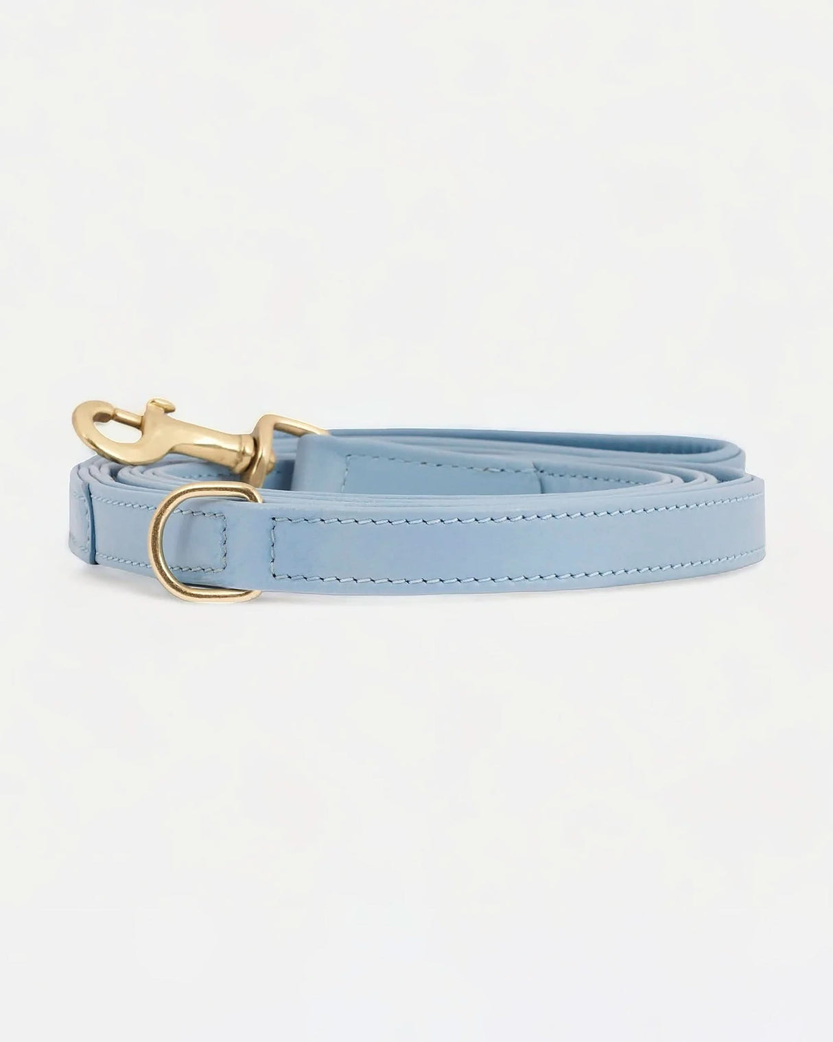 Plain Adjustable Long Leather Lead | רצועת עור ארוכה ומתכווננת לכלב