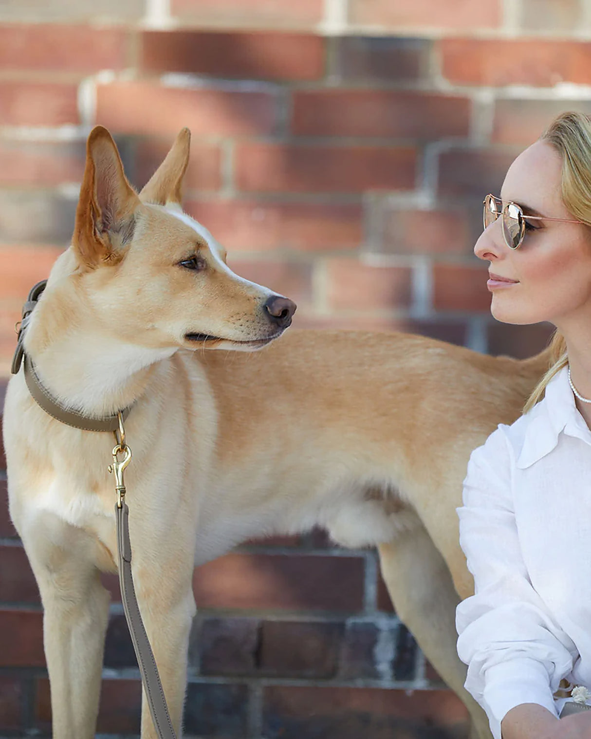 Plain Leather Collar | קולר עור לכלב