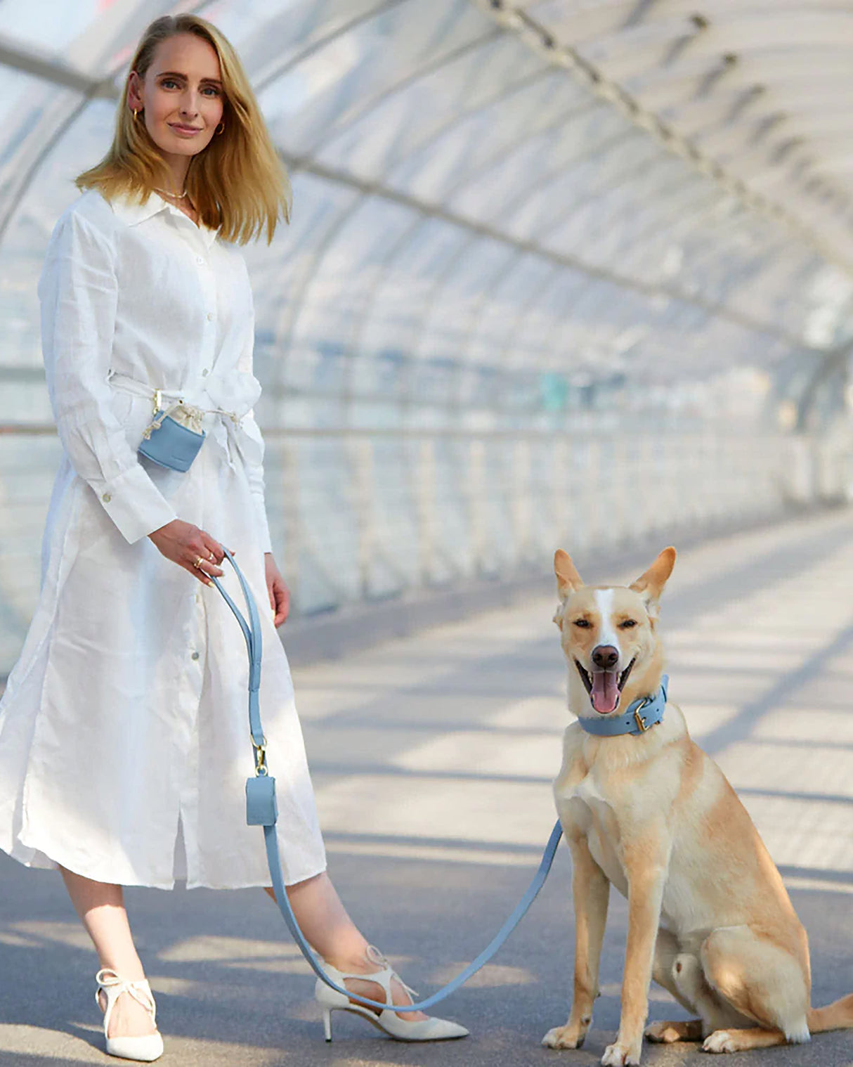 Plain Leather Collar | קולר עור לכלב