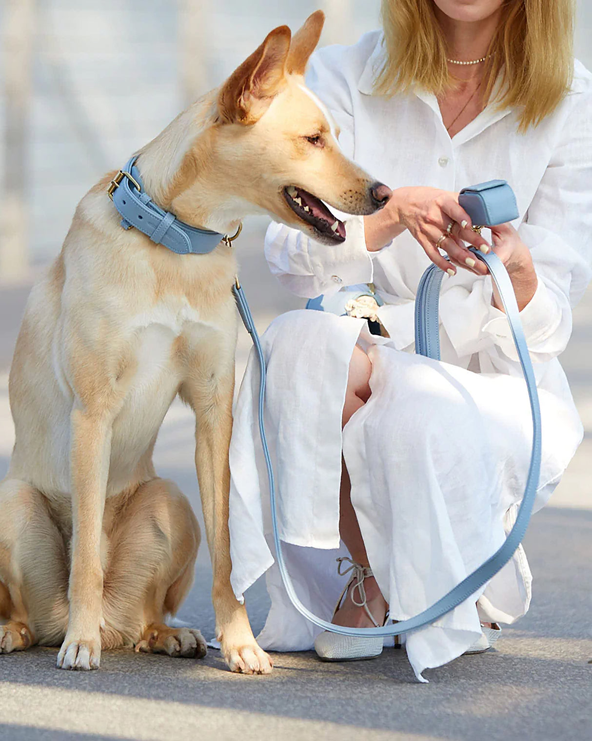Plain Leather Collar | קולר עור לכלב