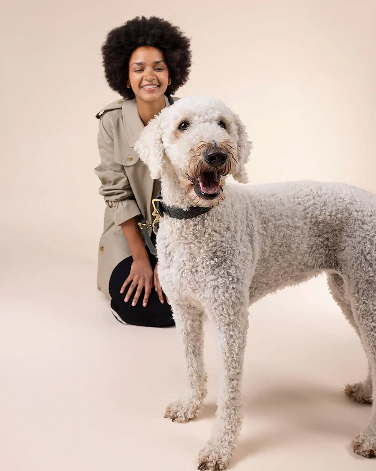 Prestige Leather Dog Collar | קולר עור נאפה קלוע לכלב