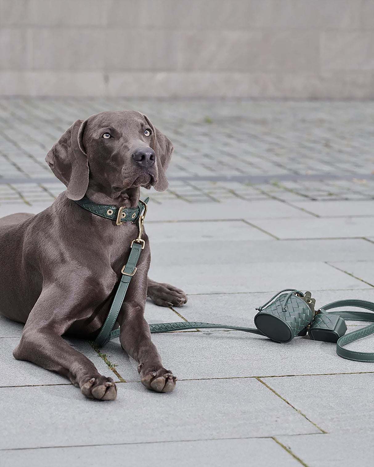 Prestige Leather Poo Treat Bag | נרתיק חטיפים מעור לכלב