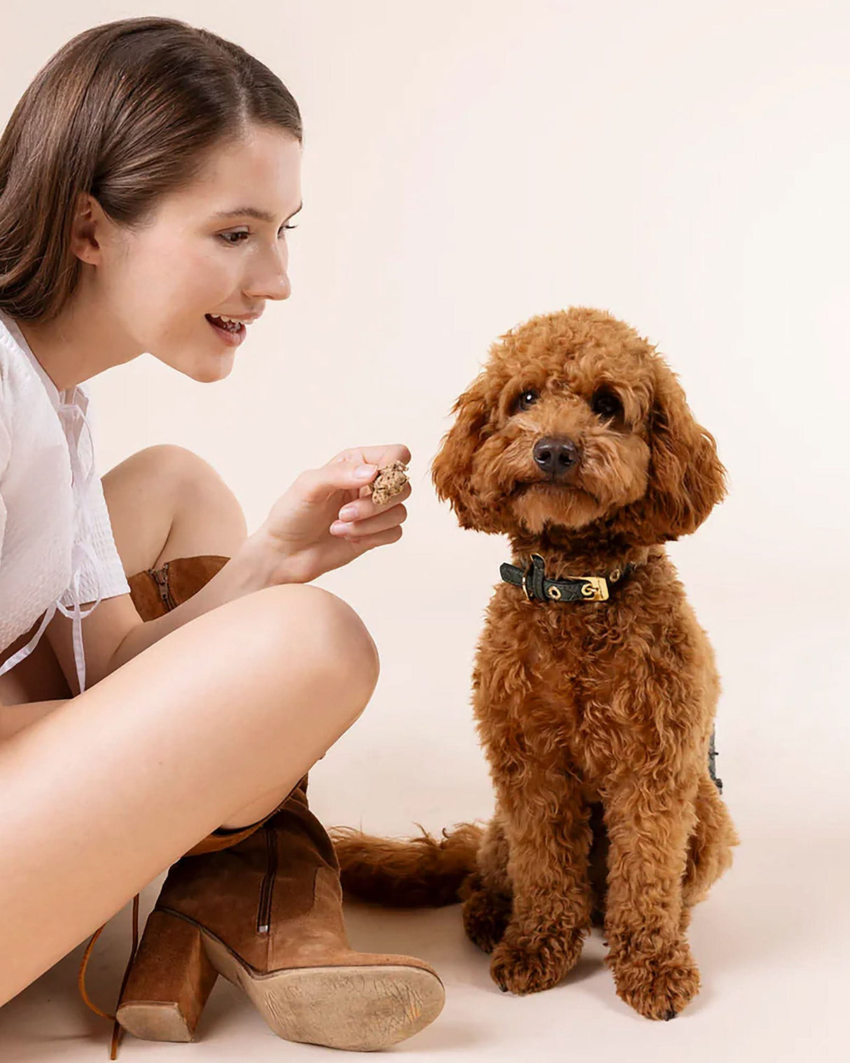 Prestige Leather Dog Collar | קולר עור נאפה קלוע לכלב