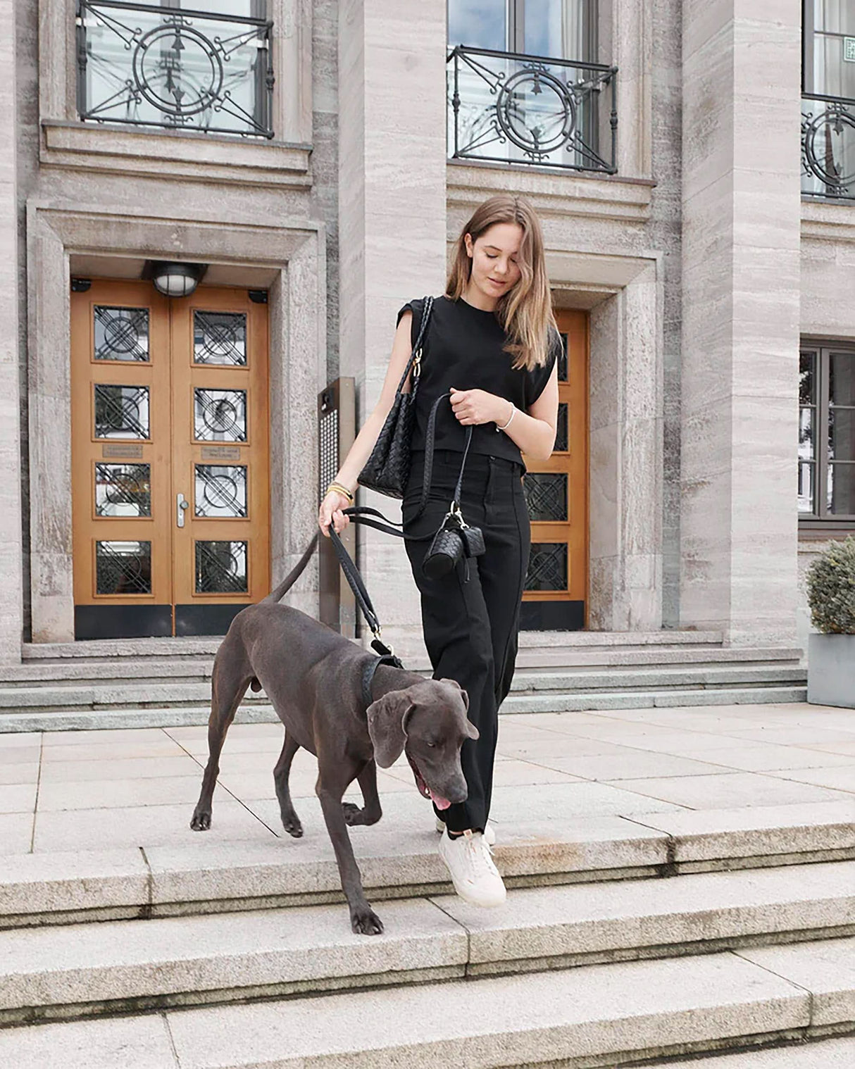 Prestige Leather Dog Collar | קולר עור נאפה קלוע לכלב