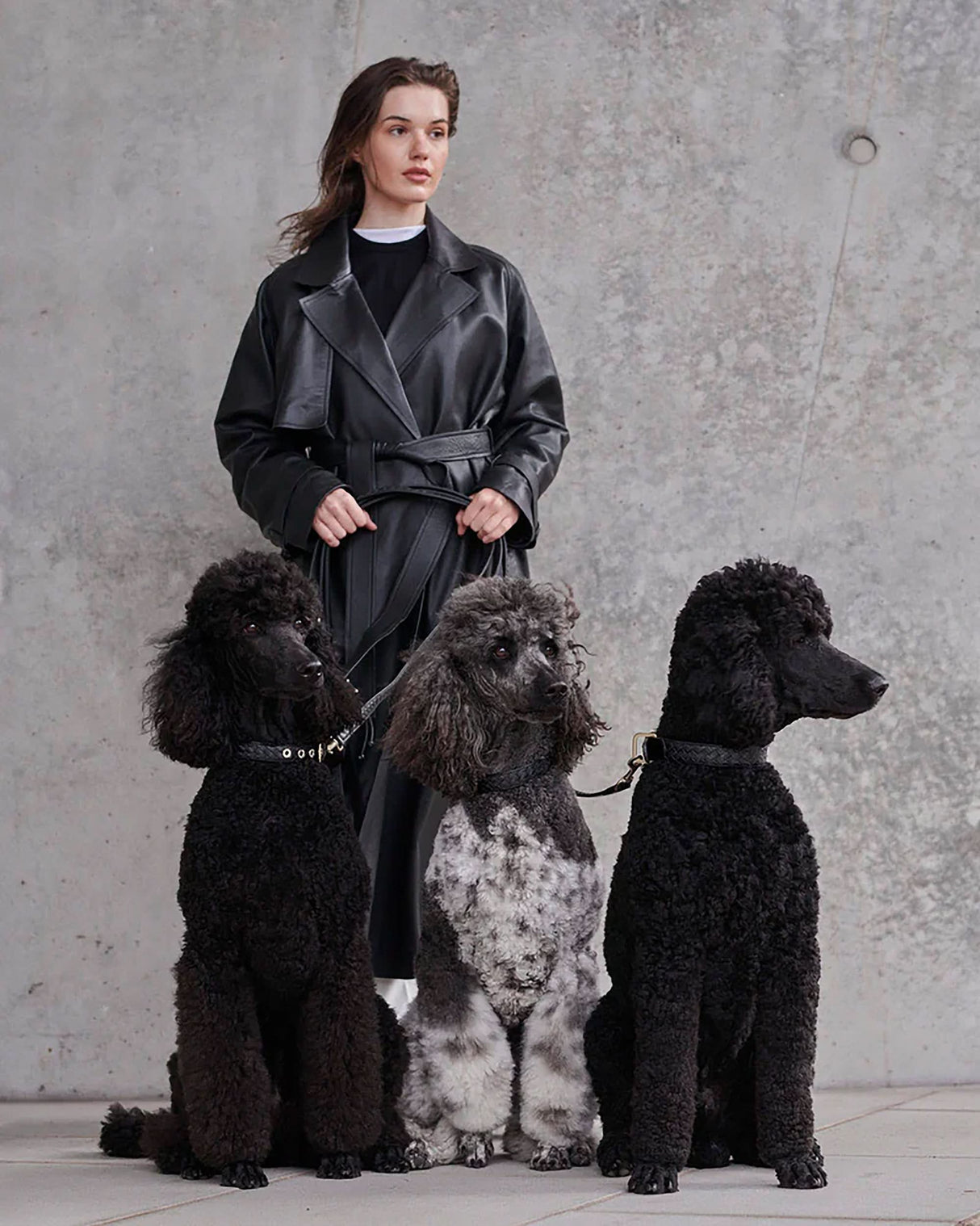 Prestige Leather Dog Collar | קולר עור נאפה קלוע לכלב