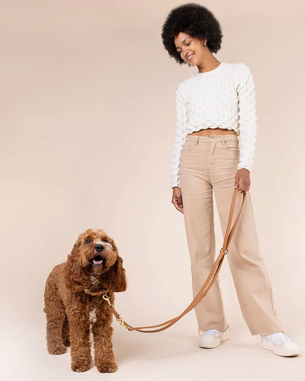 Prestige Leather Dog Collar | קולר עור נאפה קלוע לכלב