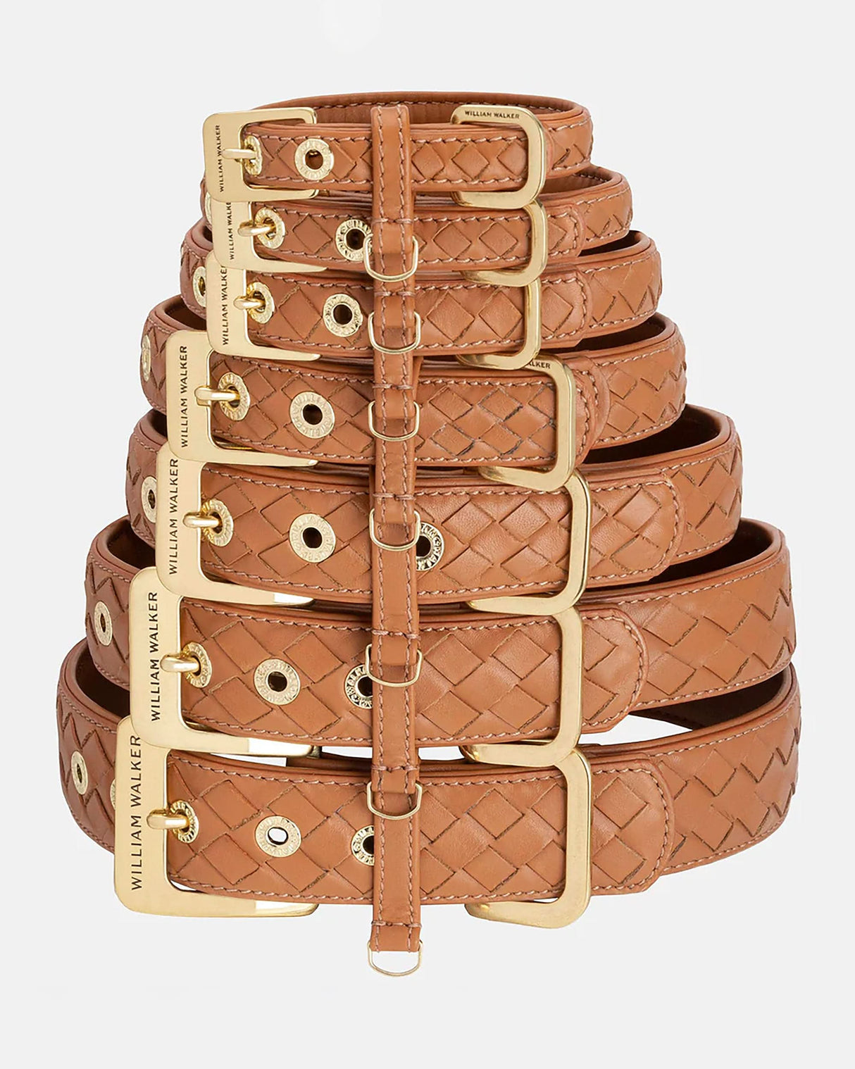 Prestige Leather Dog Collar | קולר עור נאפה קלוע לכלב