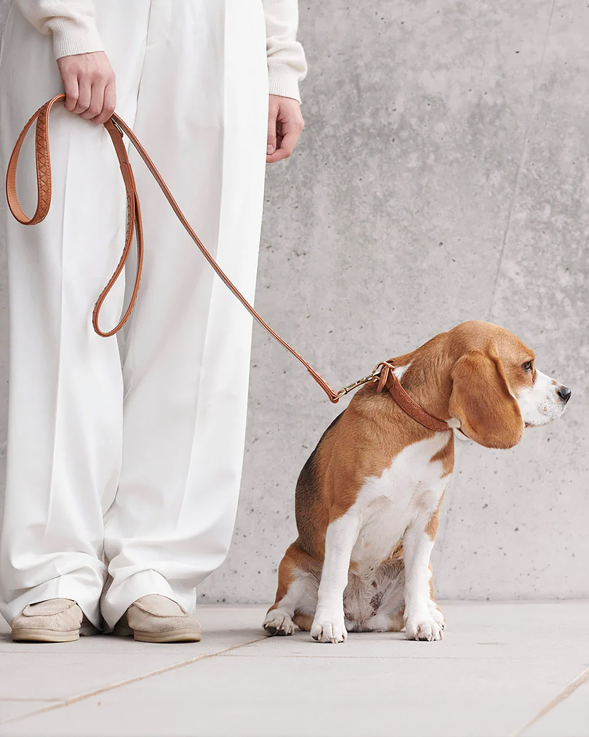 Prestige Leather Dog Leash | רצועת עור נאפה ארוכה ומתכווננת לכלב