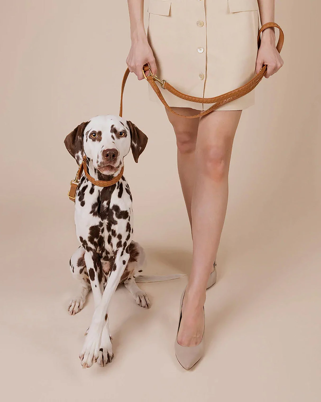 Prestige Leather Dog Leash | רצועת עור נאפה ארוכה ומתכווננת לכלב