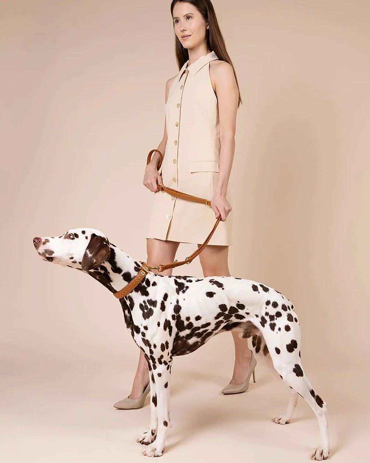 Prestige Leather Dog Leash | רצועת עור נאפה ארוכה ומתכווננת לכלב