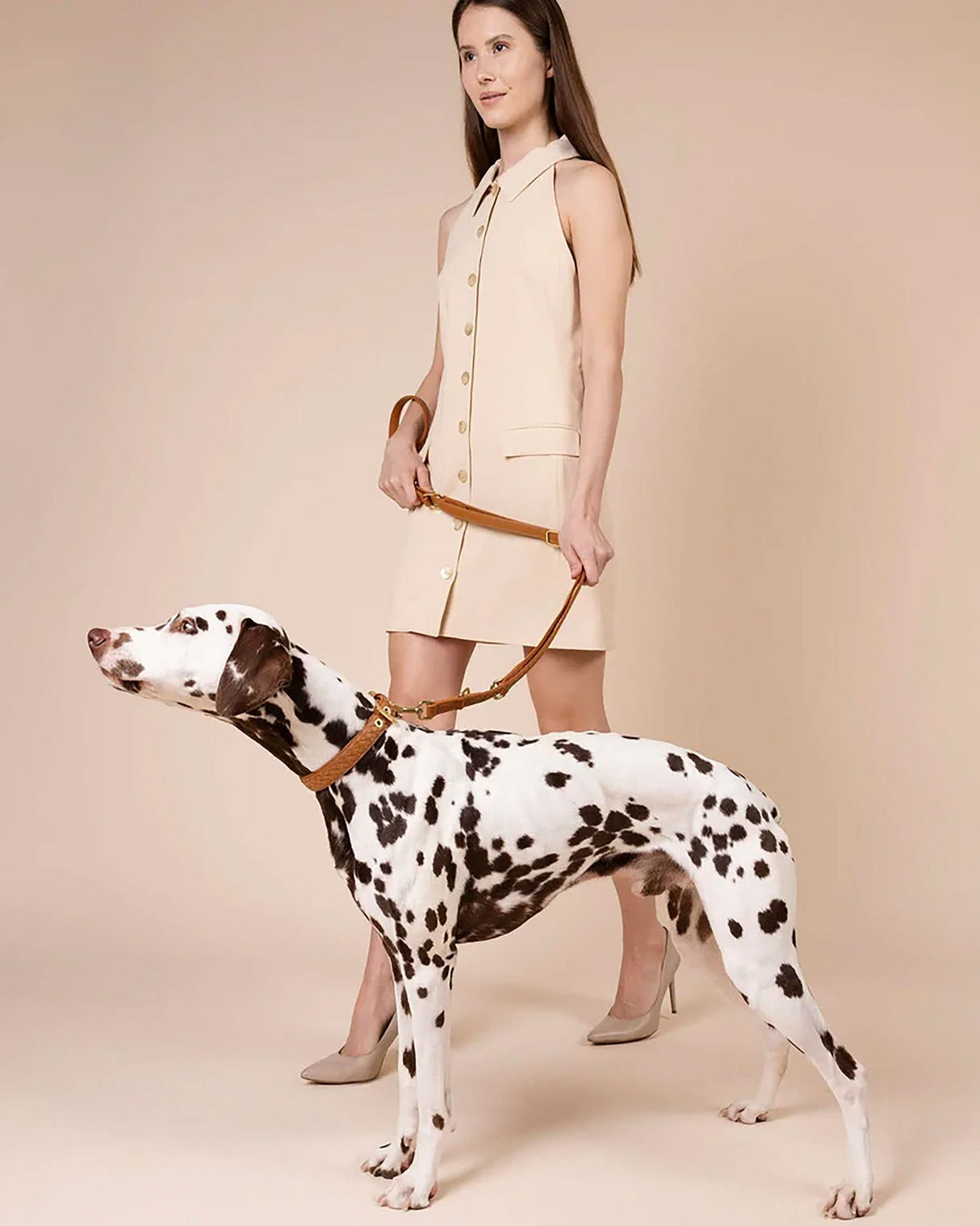 Prestige Leather Dog Collar | קולר עור נאפה קלוע לכלב