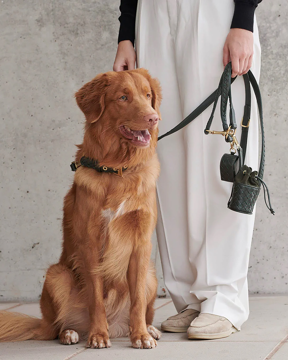 Prestige Leather Poo Treat Bag | נרתיק חטיפים מעור לכלב