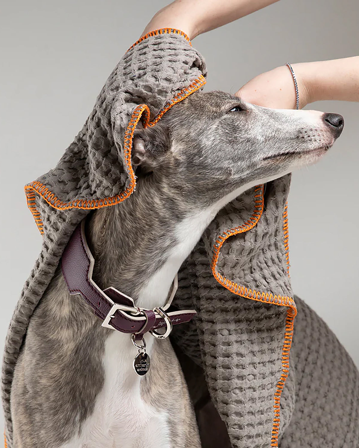 SALLY DOG TOWEL | מגבת לכלב