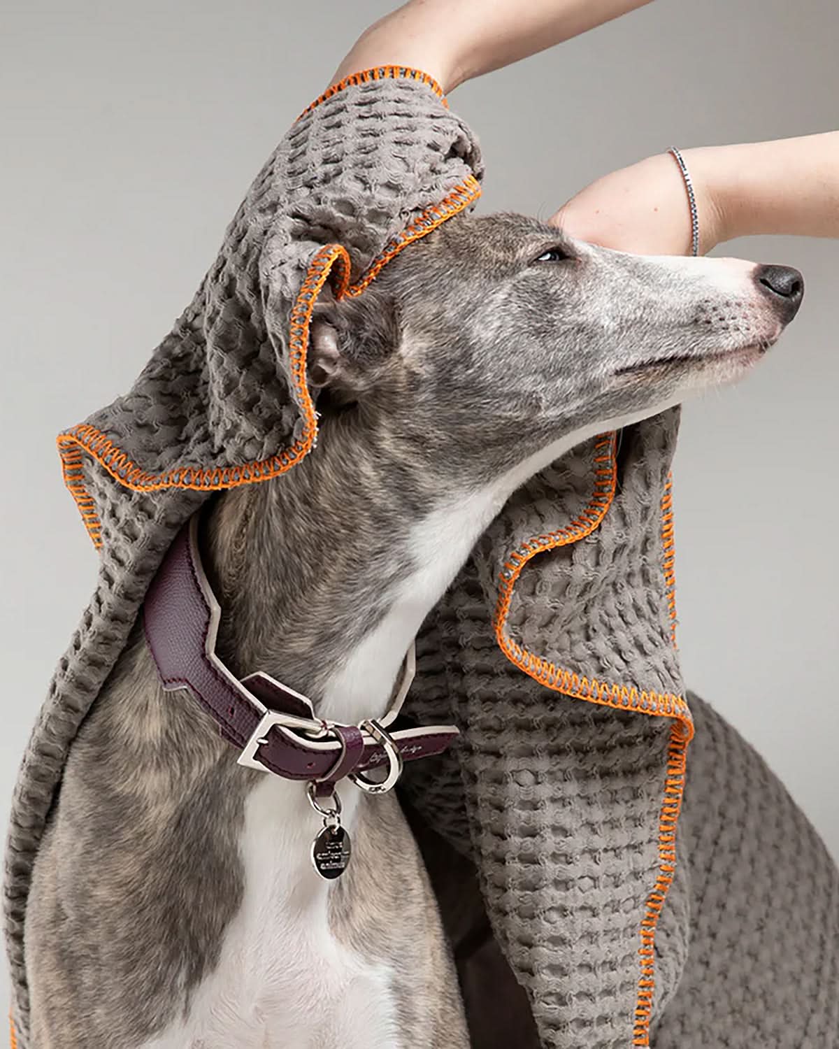 SALLY DOG TOWEL | מגבת לכלב