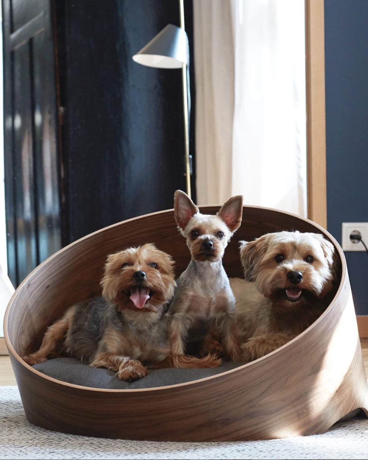 מיטת עץ לכלב