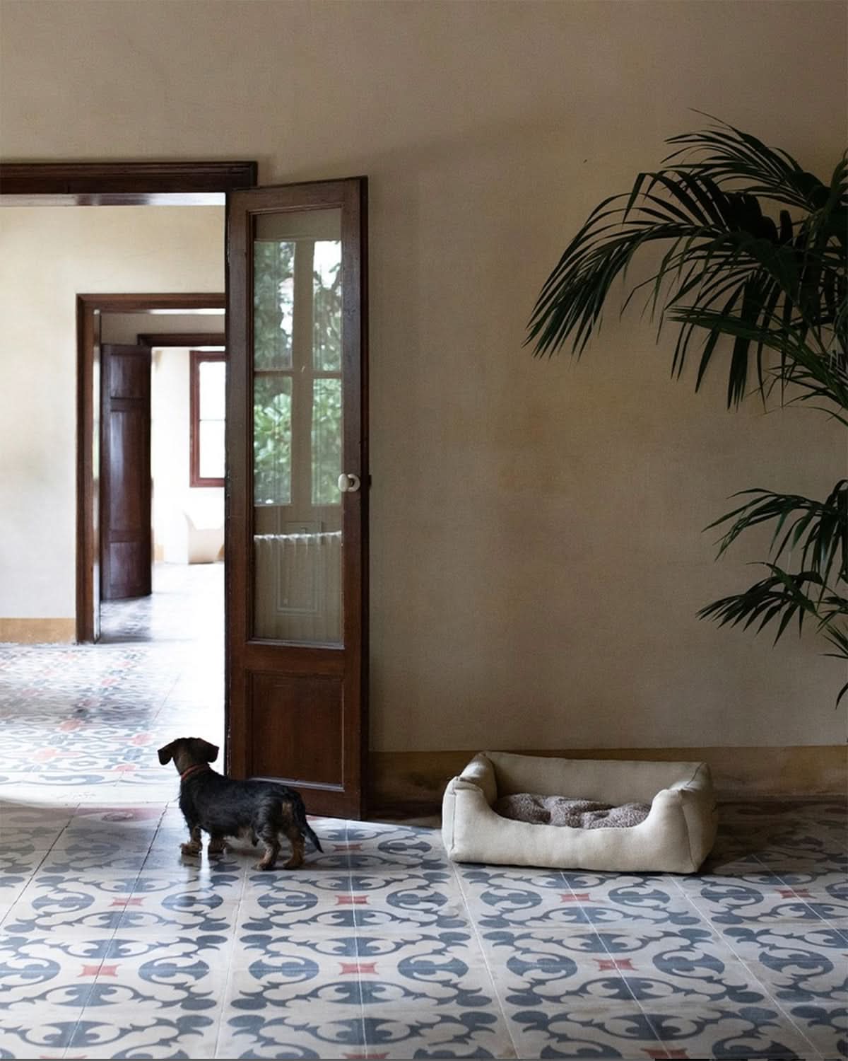 HENRI JUTE DOG BED | מיטה לכלב