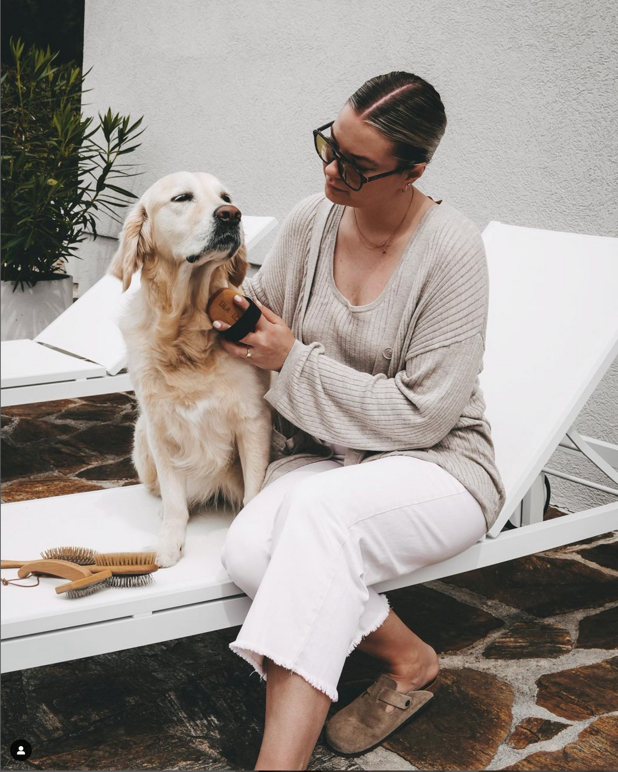 SLICKER DOG BRUSH | מברשת סליקר מקצועית לכלב