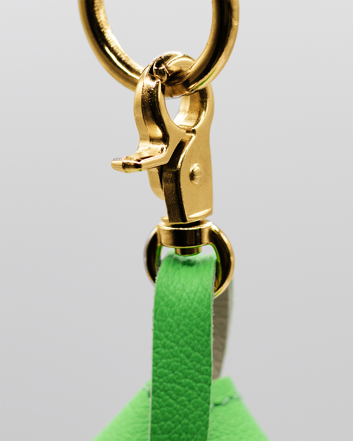 PooSh Poo Bags Holder | נרתיק לשקיות איסוף לכלב