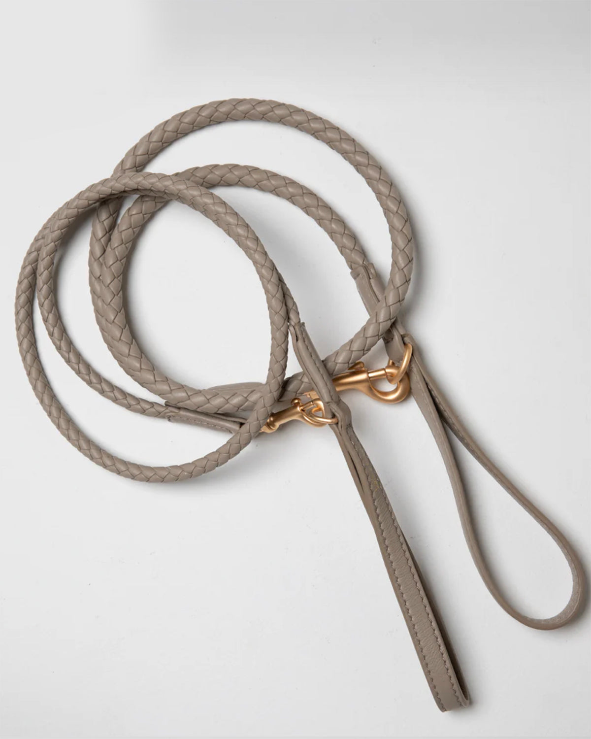 רצועת עור לכלב