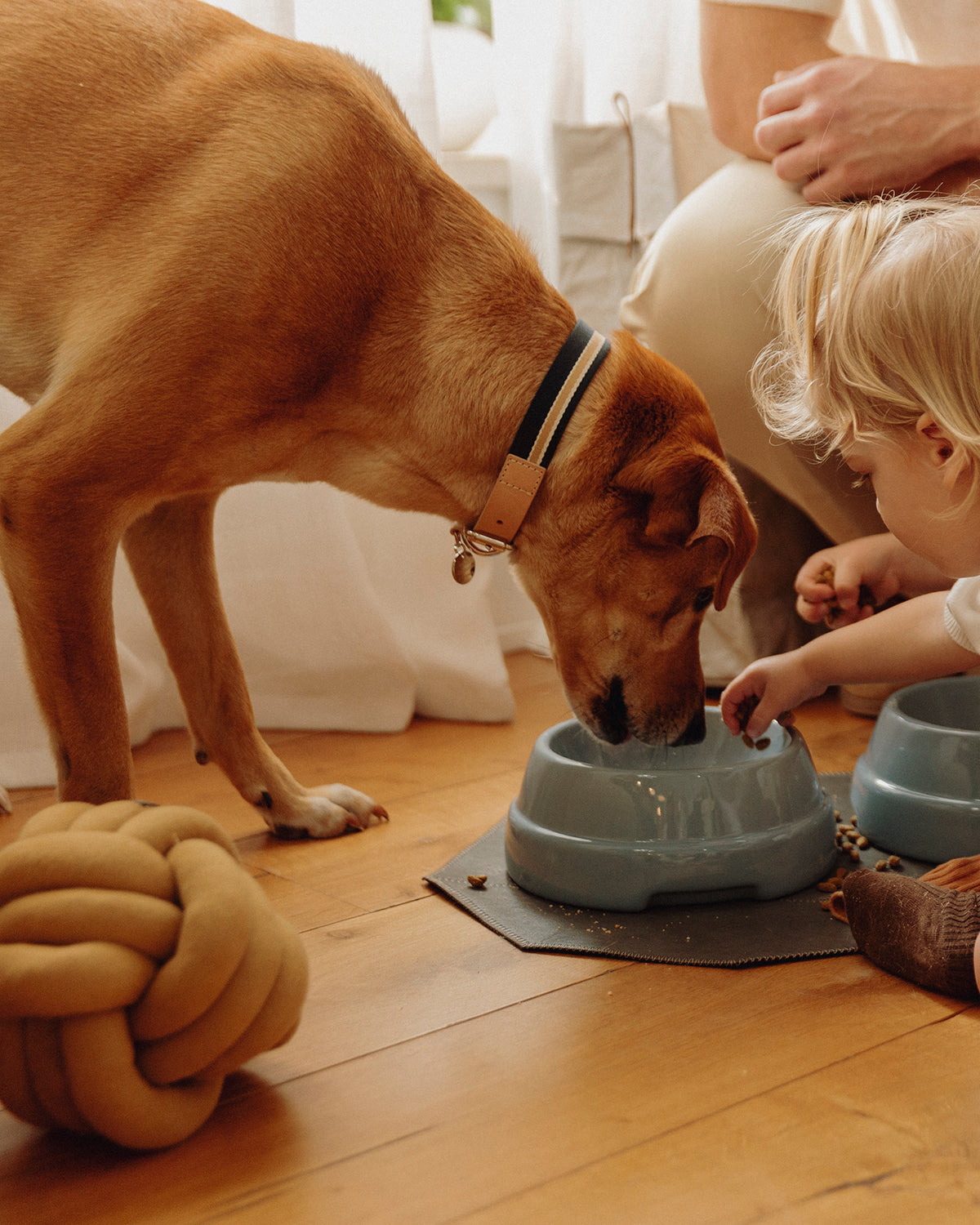 TUBO ACTIVITY TOY | צעצוע הפעלה לכלב