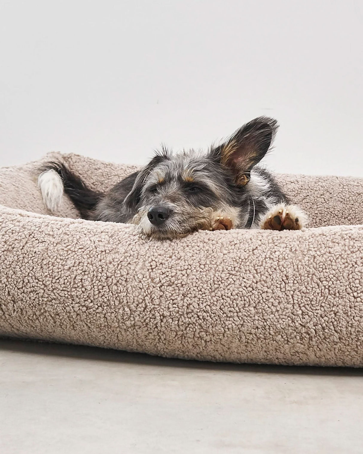 SENSO DOG BOX BED | מיטה אורתופדית לכלב