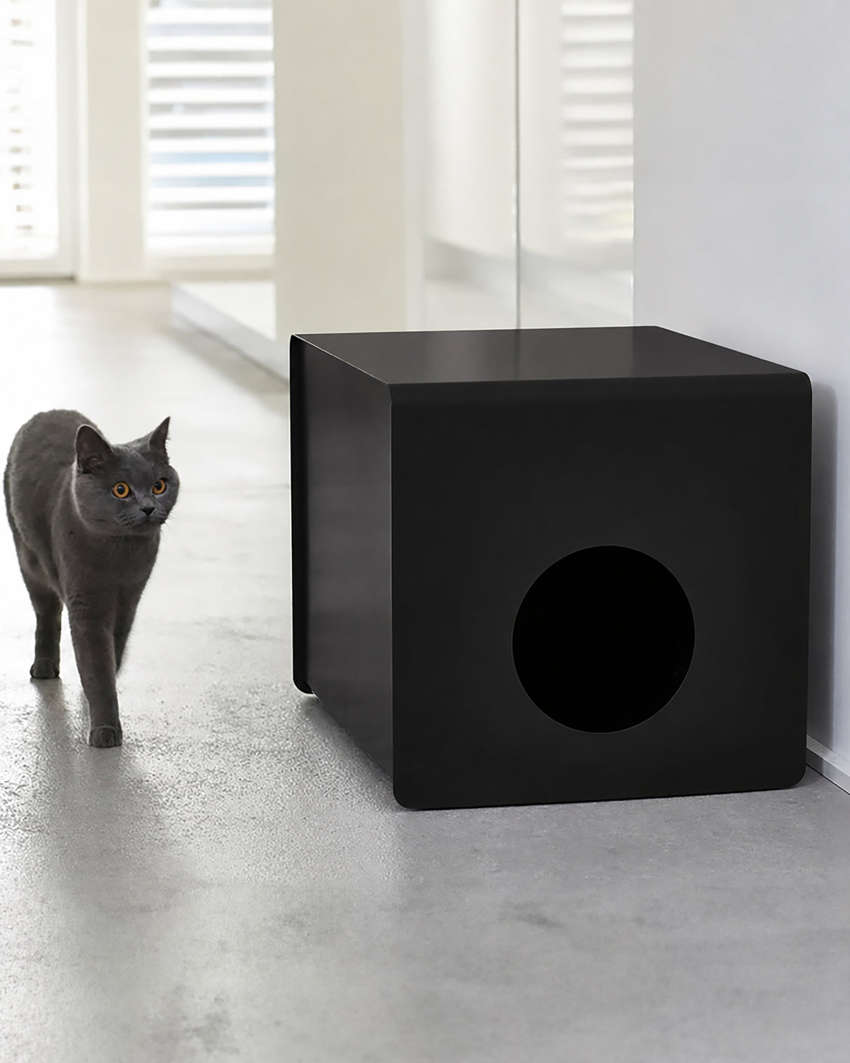 ארגז חול מעוצב לחתולים | SITO LUXURY CAT LITTER BOX