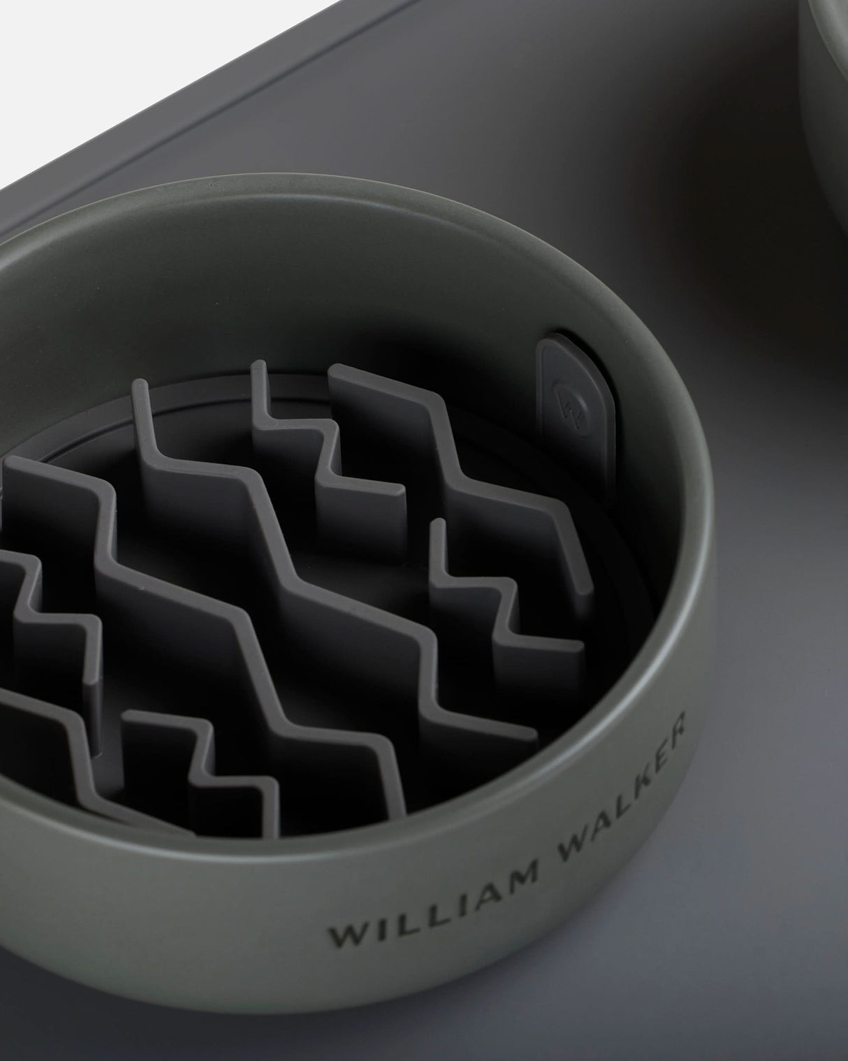 Slow Feeder Insert | משטח לאכילה איטית לכלב