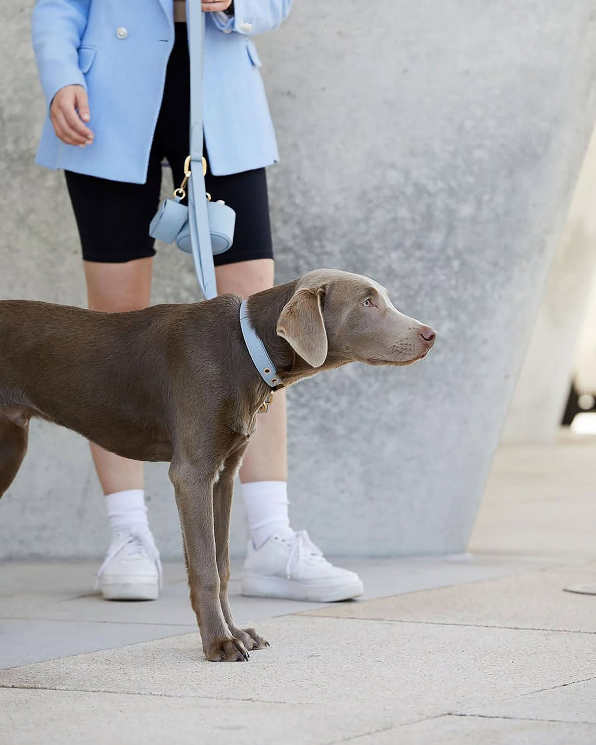 Plain Adjustable Long Leather Lead | רצועת עור ארוכה ומתכווננת לכלב