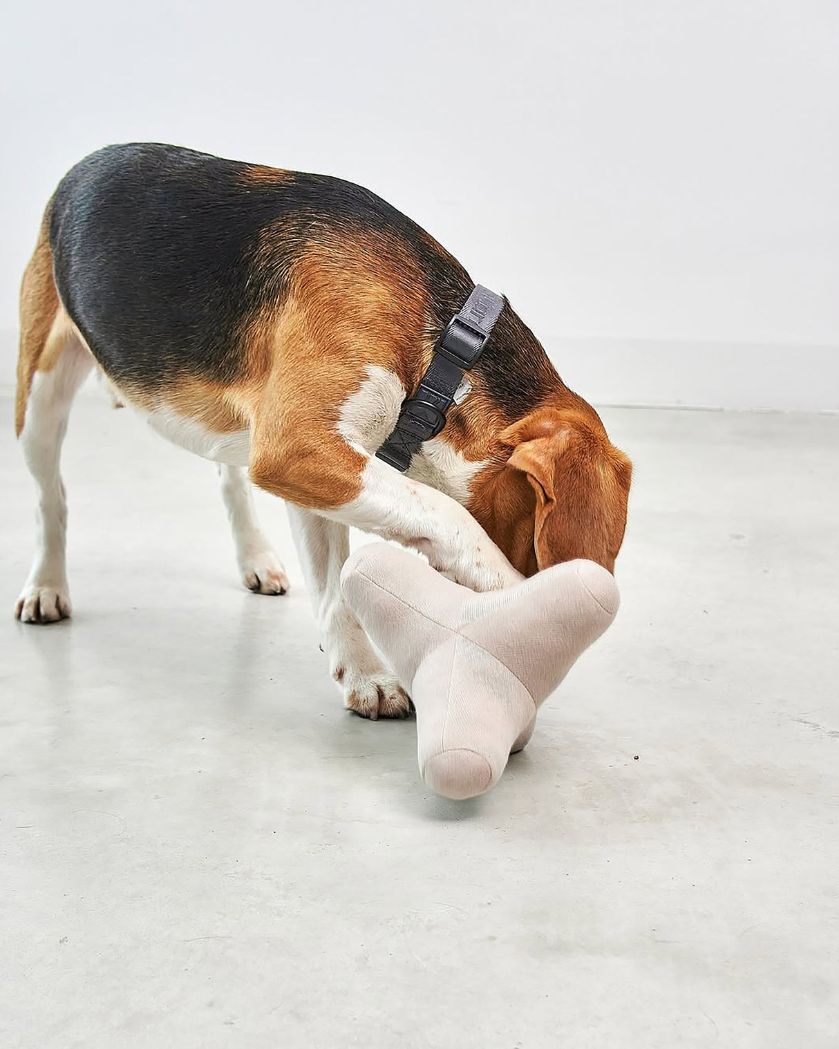 QUATTRO DOG TOY | צעצוע גאומטרי סרוג לכלב