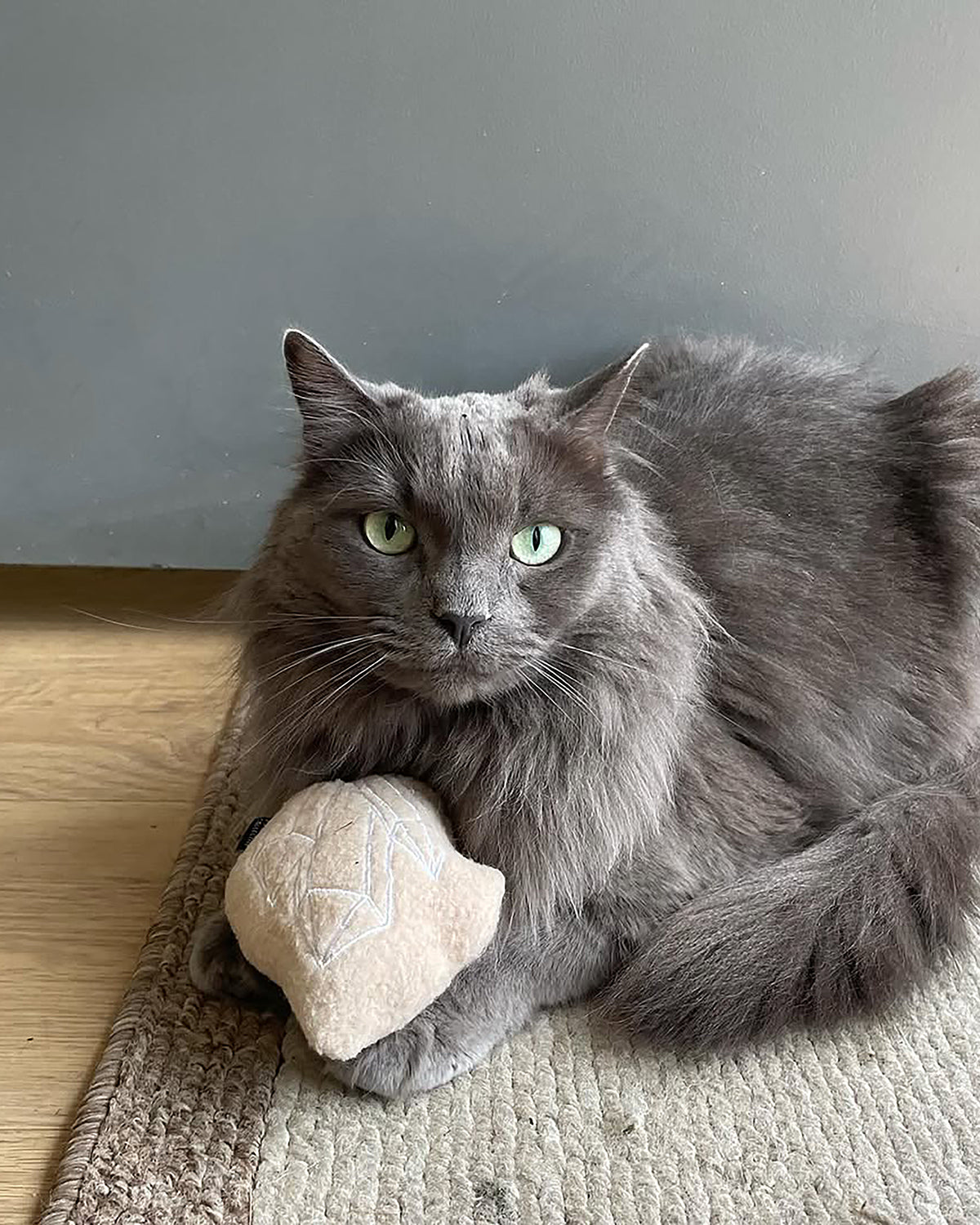 CRYSTAL INFUSED CATNIP CAT TOY | צעצוע לחתול בשילוב קטניפ וקריסטלים