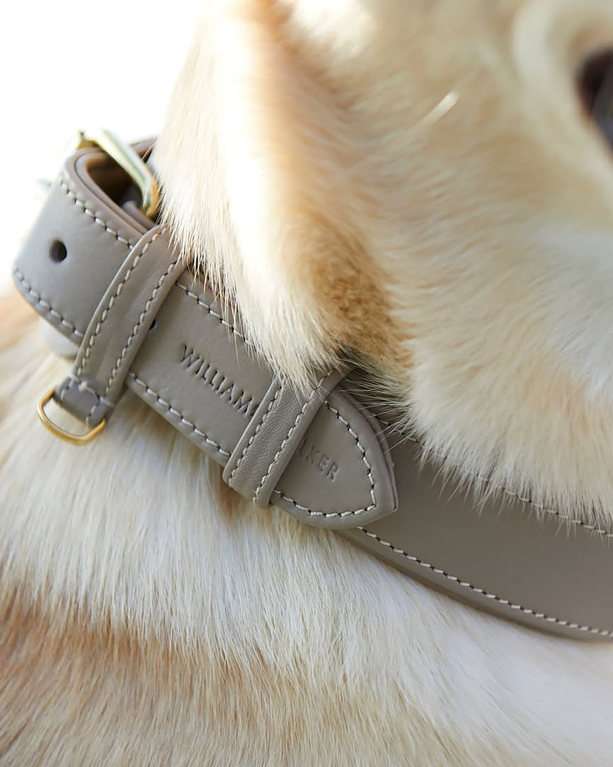 Luxe Smooth Leather Dog Collar | קולר עור נאפה לכלב