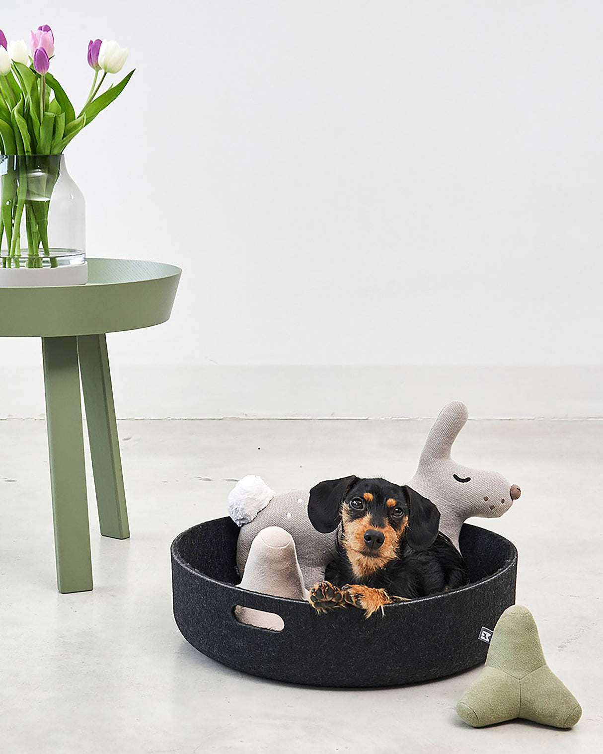 QUATTRO DOG TOY | צעצוע גאומטרי סרוג לכלב