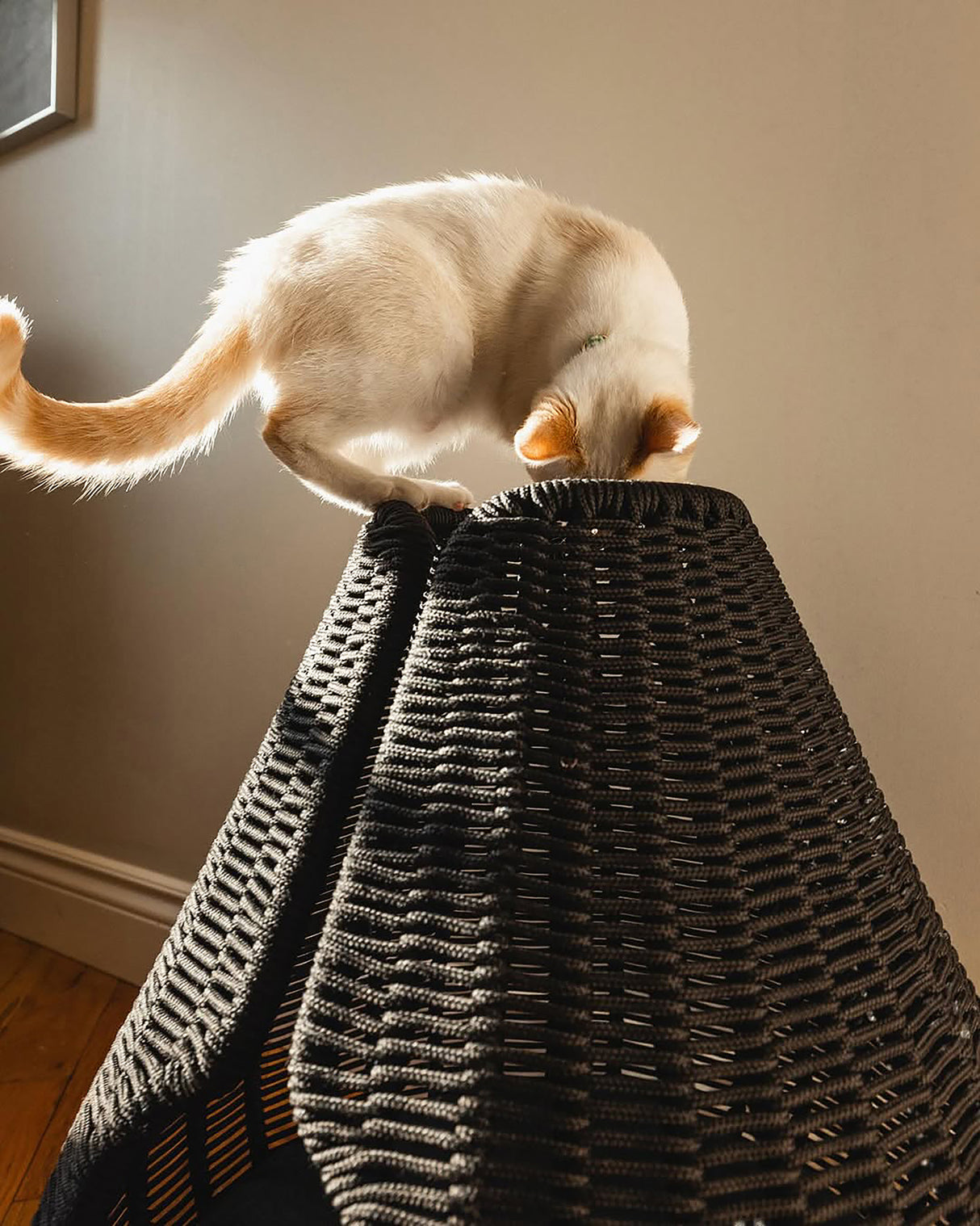 PERLA CAT CAVE | מיטה לחתול