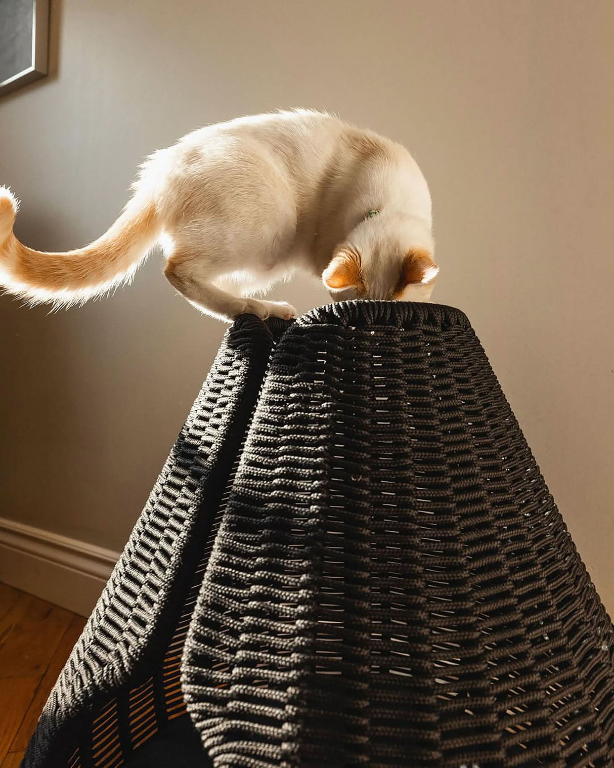 PERLA CAT CAVE | מיטה לחתול